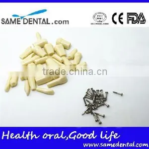 500 Dental Grain Dental Eduction Assitant No. DEA-12 thumbnail-1