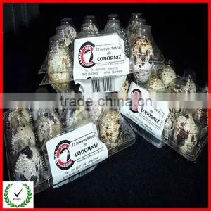 Cheap Whloesale 4/6/8/12/15/24/30 Plastic Egg Tray /quail Egg Tray Packing Manufacture thumbnail-1