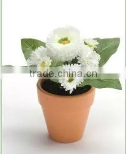 Small Size of Terracotta Mini Pots thumbnail-1
