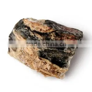 Fossil Specimens, Perified Wood thumbnail-1