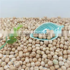 Good Manufacture of Chickpea Hot Sale thumbnail-5