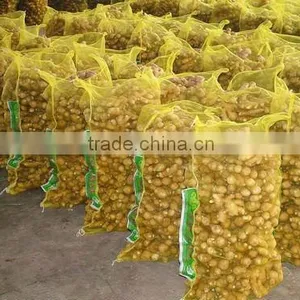 Chinese Fresh Ginger thumbnail-1