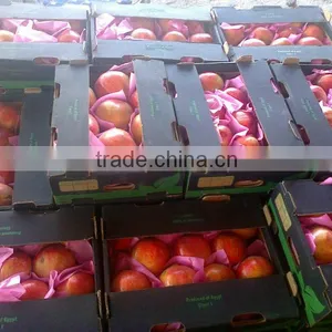 FRESH POMEGRANATE FROM EGYPTIAN FARMS thumbnail-1