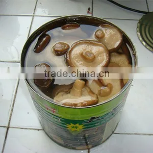 Canned Shiitake Mushrooms With Market Price for Sale thumbnail-1