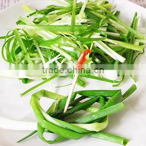 Home Use Vegetable Cutting Machine thumbnail-5