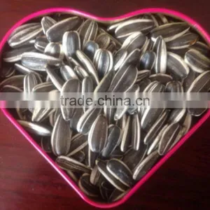 2016 Sunflower Seeds 5009 in High Quality 24/64 thumbnail-1