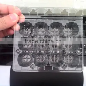 12 Quail Eggs Clear Pet Plastic Egg Carton/quail Egg Trays/packing Quail Egg Trays thumbnail-4