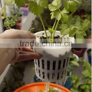 Food Grade Plastic 4" Plastic Net Pots Hydroponic Plant Pots for Green House thumbnail-2