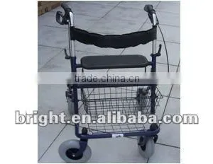 Rolling Walker thumbnail-1