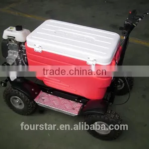 6 Month Warranty Racing Gas Scooter Sale thumbnail-1