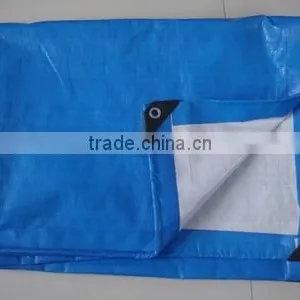 Best Sell Unbreakable pe Flat Tarpaulin Sheet thumbnail-1