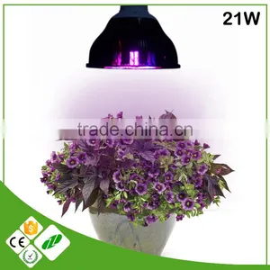 High Quality E27 21W Led Grow Light With CE&RoHS Approved 2 Years Warranty thumbnail-6