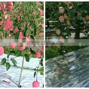 High Quality Agricultural Reflective Silver Mulch Film thumbnail-5