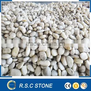White Cobble Stones Pebble Stone thumbnail-1