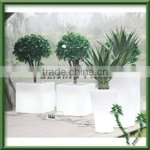Flower Pot With Some Plants thumbnail-1