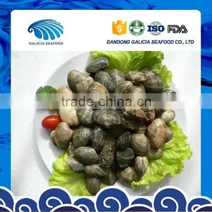 Frozen Boiled Short Necked Clam Size 21-30 thumbnail-1
