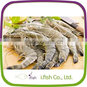 Black Tiger Prawn thumbnail-1