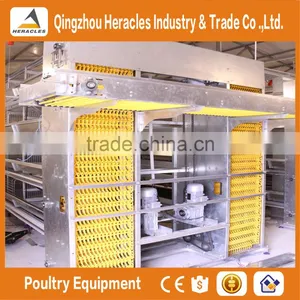 Trade Assurance Automatic Manure Cleaning Layer Polultry Farm Equipment thumbnail-6