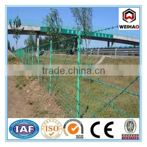 Barbed Wire/Caltrops /galvanized Barbed Wire thumbnail-1