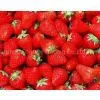 IQF Strawberry thumbnail-1