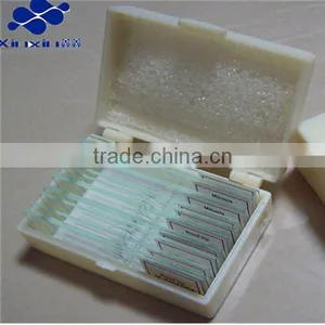 Meiosis Division Prepared Microscope Slides thumbnail-1