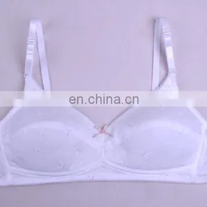 China Women Bra Cotton Underwired Plus Size Bra Push up Bra Fashion Bra thumbnail-6