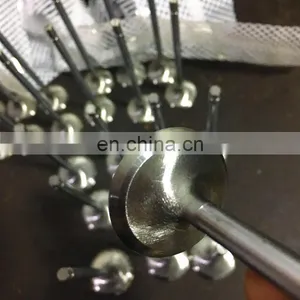 Stock Auto Parts Da465qa Da480qa Engine Intake Exhaust Valve For Faw T57 6371 474q Chery 480 465 272 B2G06-1007011 B2G06-1007012 thumbnail-6