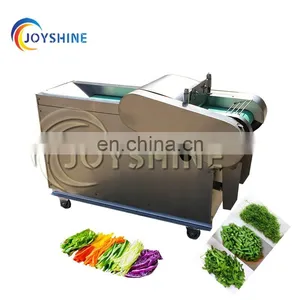 SUS304 Stainless Steel Electric Coconut Cutting Machine Processing Machinery Grater thumbnail-7