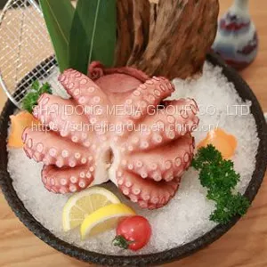 WHOLESALE OCTOPUS thumbnail-1