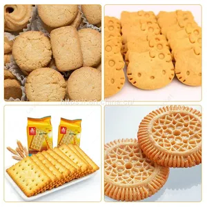 Biscuit Procession Machine Commercial Biscuit Making Machine Chocolate Chips Cookies Making Machine thumbnail-4