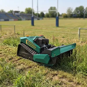 Rugby Rough Areas Vegetation Mowing Factory Direct Sales Remotely Controlled Multi-functional Flail Mower thumbnail-1