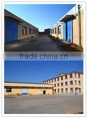 Linyi Dongxu Foods Co., Ltd. company overview - view 4 thumbnail