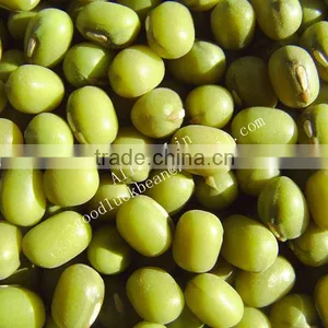 New Crop Peeled Split Green Mung Beans thumbnail-2
