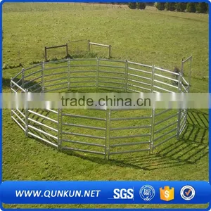 China Cheap Cattle Panels for Sale / Galvanized Cattle Fencing / Live Cattle Prices thumbnail-6