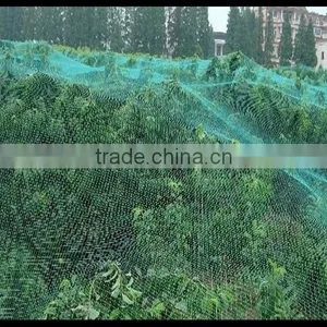 Economy Anti-bird Nets For Crop Protection thumbnail-1
