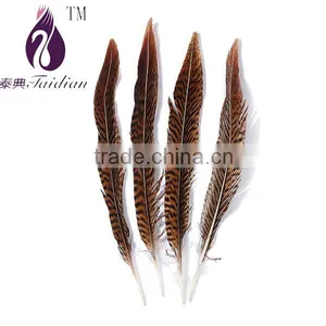 Wing Feather, Long Plume Pheasant,bulk Feathers thumbnail-1
