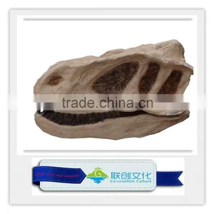 1:1 Scale Artificial Resin Dinosaur Skull thumbnail-3
