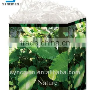 Natural Design Gift Bag, Paper Gift Bag thumbnail-5