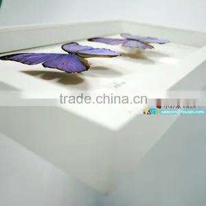 FOUSEN(056) Nature& Art Natural Home Decoration Supplier Home Decor Wooden Photo Frames thumbnail-2