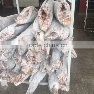 Land Frozen Black Marlin 20kg up for Sale thumbnail-2