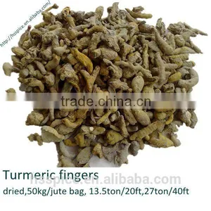 Dry Turmeric Finger thumbnail-1