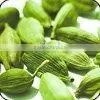 Indian Green Cardamom thumbnail-1