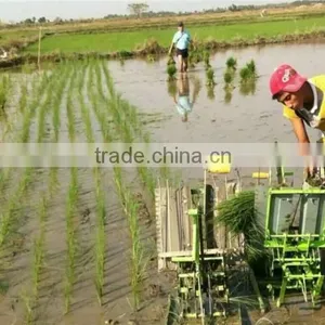 Manual Rice Planter thumbnail-2