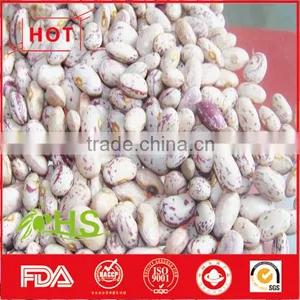 Light Coloured Speckled Kidney Beans for Sale thumbnail-2