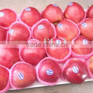 New Crop Red Delicious Apple 18kg Ctn thumbnail-1
