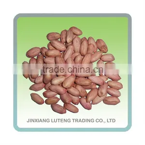 Peanut Kernel thumbnail-1