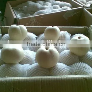 Fresh Fruit Emerald Pear With Good Price for Exporting thumbnail-3