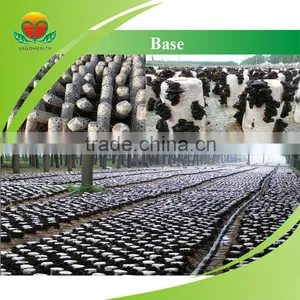 Lower Price Black Fungus Powder thumbnail-2