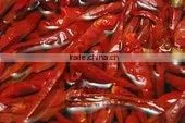 Chilly Powder Hot thumbnail-1