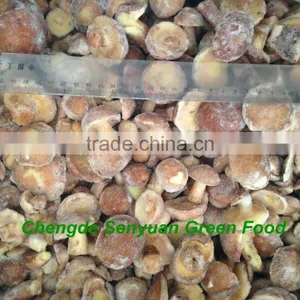 IQF SUILLUS GRANULATUS thumbnail-1